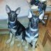 Ellen Wilhelm - Facebook