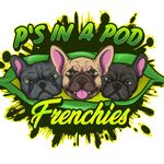 Ellen Watkins Wilkes - @psinapodfrenchies - Instagram