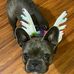 Ellen Wilkes - Facebook