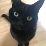 Ellen Willetts - @willettsellen - Instagram