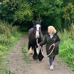 Ellen Winfield - @ellen.winfield.37 - Instagram