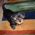 Ellen Winfield - Facebook