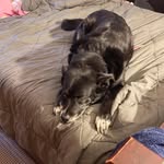 Ellenwinfrey - @ellenwinfrey63 - Instagram