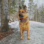 Ripley Ellen Winstanley - @riplesaurusrex.gsd - Instagram