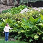 Mary-Ellen Wirth - @maryellenwirth - Instagram
