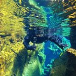 Ellen Wissink - @wizzincfotografeert - Instagram