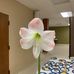 Ellen Withers - Facebook