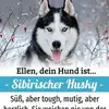 Ellen Witt - @ellenwitt - TikTok