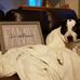 Ellen Williams - Facebook