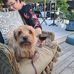 Ellen Wold - Facebook