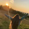 Ellen - @ellen__wolf - TikTok