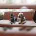 Ellen Wolf - Facebook