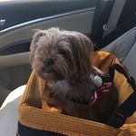 Ellen - @ellen_wollner - Instagram