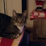 Ellen Wolters de Rover - @woltersderover - Instagram