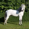 ellenwolters153 - @ellenwolters153 - TikTok