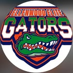 🐊🐊 8U Gator Boyz 🐊🐊 - @ellenwood_elite_8u - Instagram