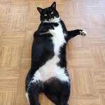 Ellenwood Animal Hospital - @ellenwoodanimalhospital - Instagram