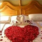 Ellen Wood - Facebook