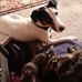 Ellen Woodward - Facebook