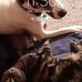 Ellen Woodward - Facebook