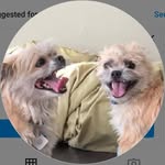 Sue Ellen Woodward - @sep_wood_ward - Instagram