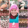 Ellen Wootton892 - @ellenwootton892 - TikTok
