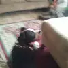 ellenworley929 - @ellenworley929 - TikTok