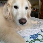 Ellen M Worthy - @eworthy5131 - Instagram