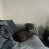 ellen - @ellenwray1 - TikTok