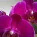 Ellen Wray - Facebook