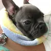 ellen.wray - @popcorn2370 - TikTok
