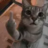 Ellen - @ellenwyatt4 - TikTok