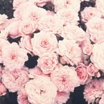 Old Account - @ellenwynne15 - Instagram