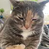 Elle Yarnell - @user4700779605699 - TikTok