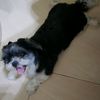 Ellen - @ellen_yee - TikTok