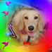 Ellen Ying - Facebook