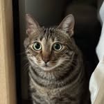 Ellen Yiu - @arluny - Instagram