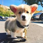 Ellen Yuan - @ellen.yuan.522 - Instagram