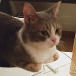 元寶 - @ellen_yuanbao - Instagram