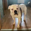 Finya - @ellen.zelle - TikTok