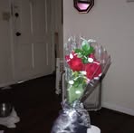 Ellena Black - Facebook