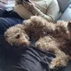 Elena Carroll - @elena.carroll6 - TikTok