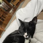 Ellena Cooper - Facebook