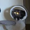 elena..freeman - @elena..freeman - TikTok