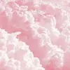 Apple User888576 - @ellena_green - TikTok
