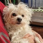 Ellena Lee - @pocketmice66 - Instagram