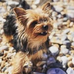 Ellena Lee - @ellena_lee_ - Instagram