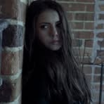Elena Salvatore Marshall - Facebook
