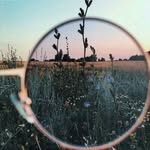 Ellena Park - @wisteria556 - Instagram