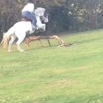 Ellena Raybould - @ellenaraybould - Instagram
